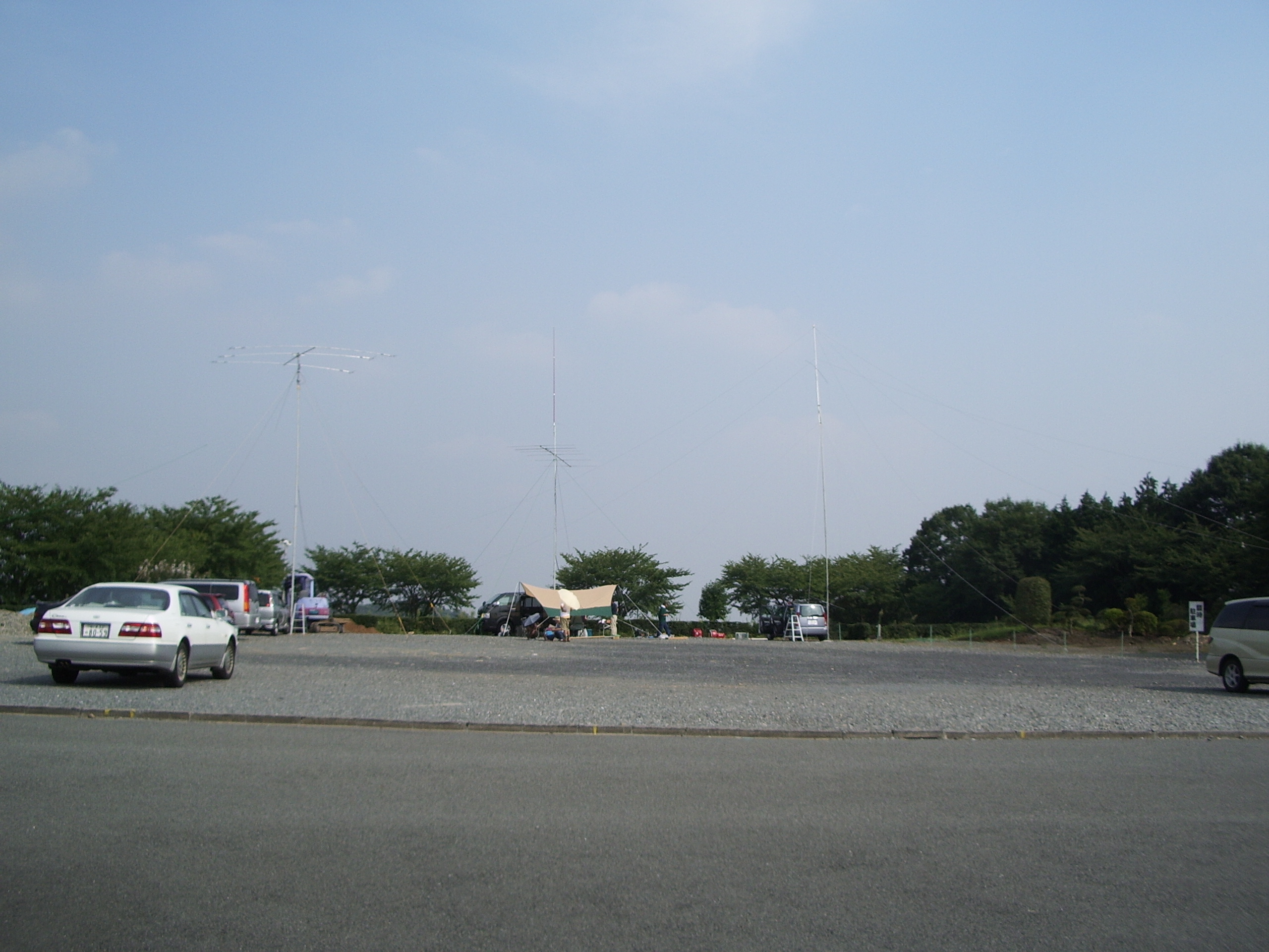 IMGP0242.JPG