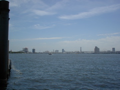 SANY0001_3