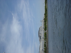 SANY0010_3