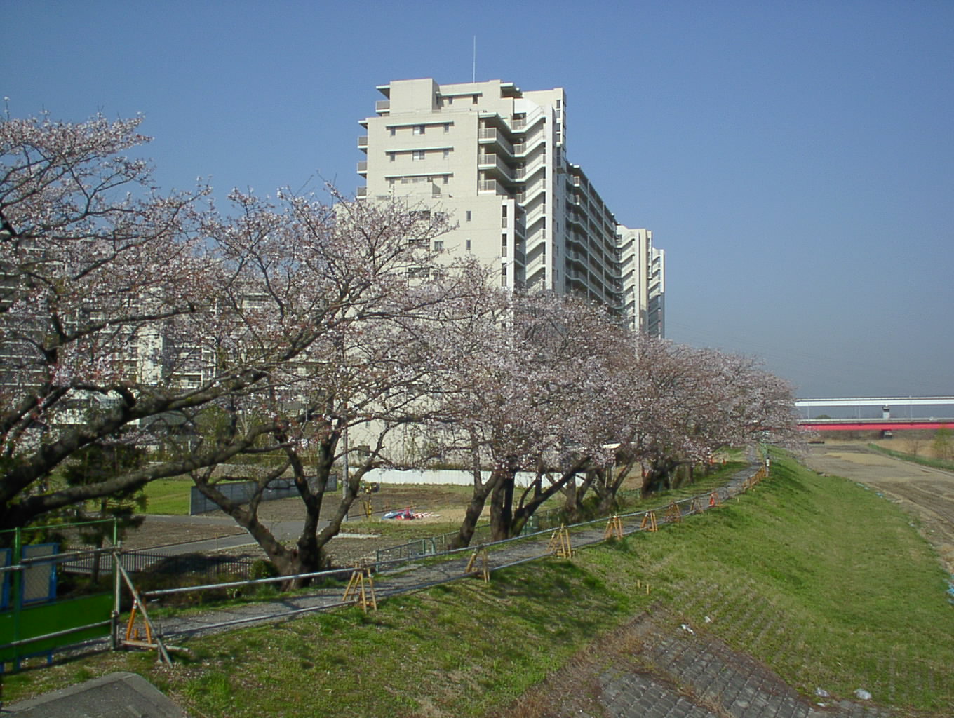 SANY0002.JPG