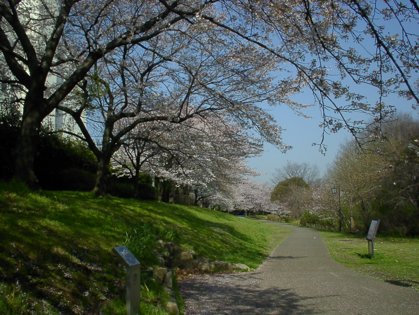 SEQT0303.JPG