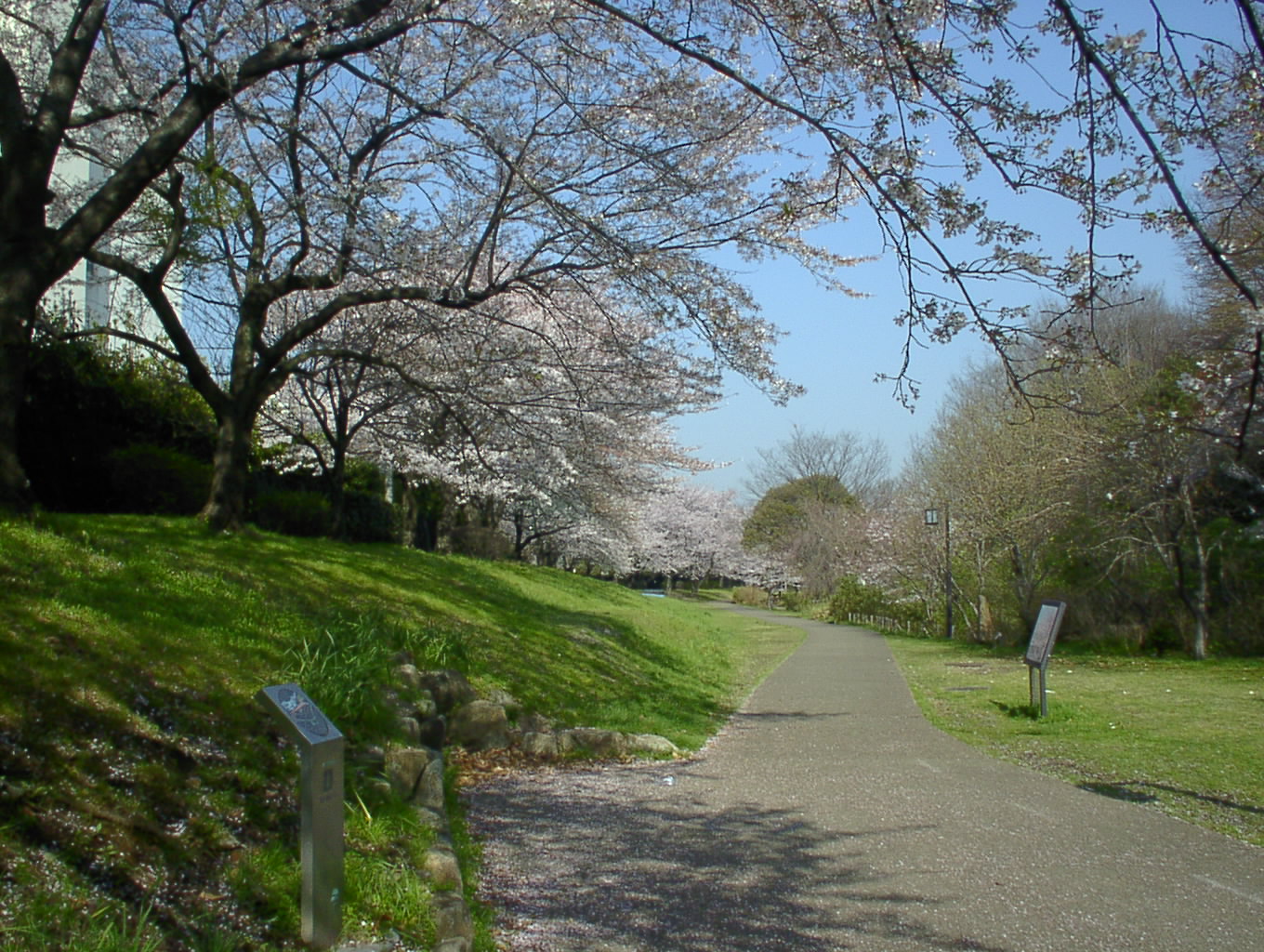 SEQT0404.JPG