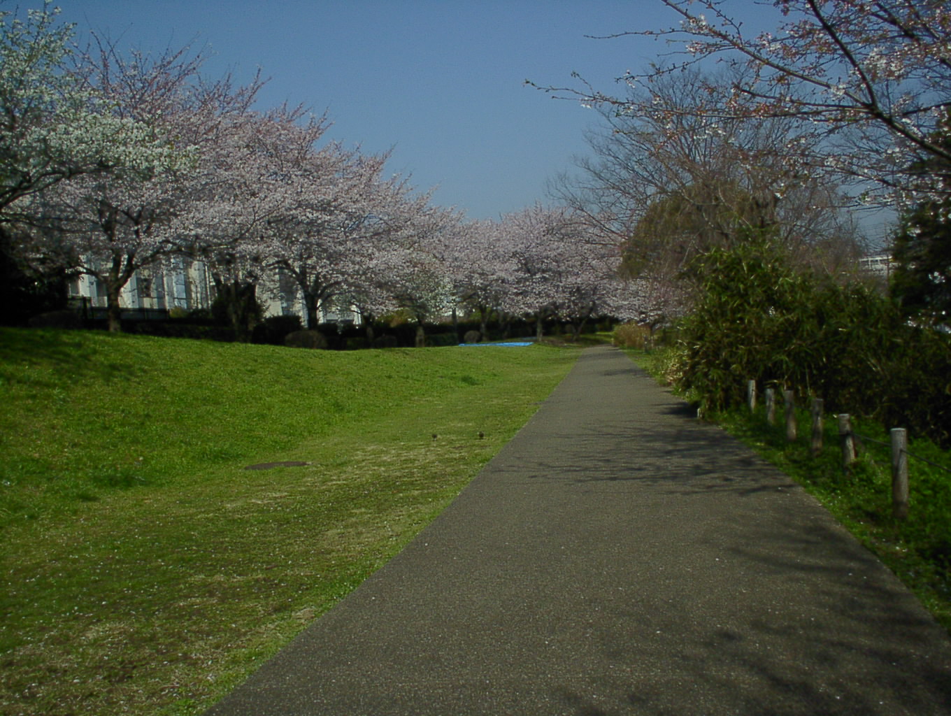 SEQT0502.JPG
