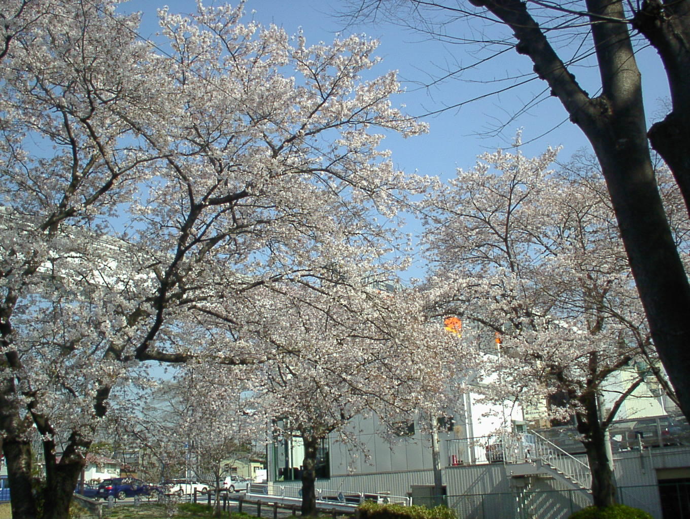 SEQT0704.JPG